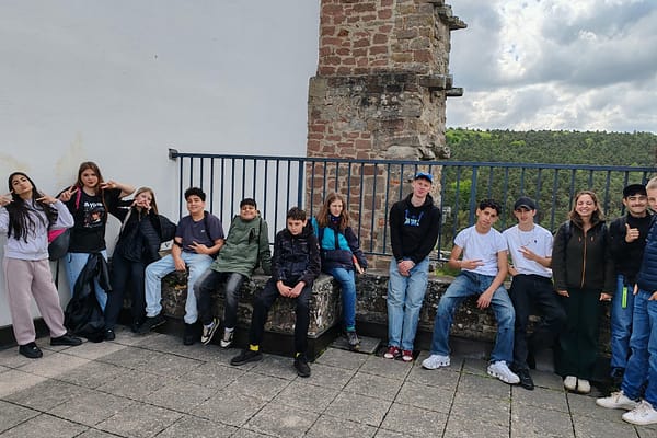 Klassenfahrt nach Altleiningen