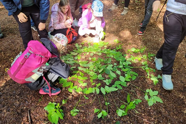 Klassenfahrt in die Walderholung