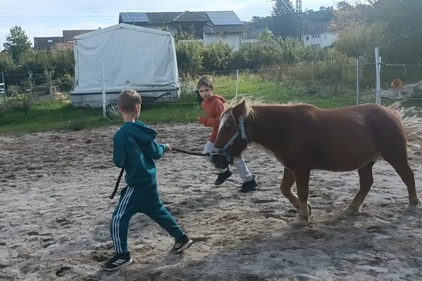 Ein tierisch toller Schultag